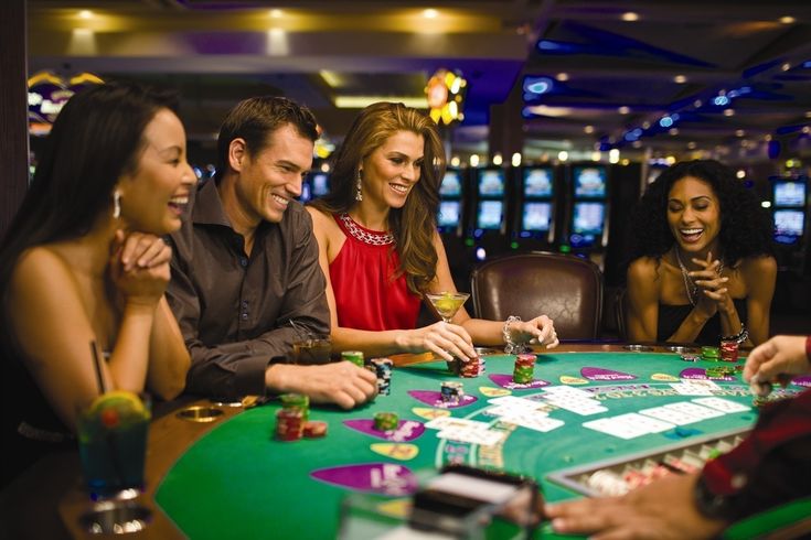 net bet Live Casino